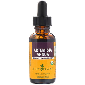 Artemisia annua 1 oz by Herb Pharm