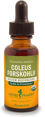 Coleus Forskohlii 1 oz by Herb Pharm