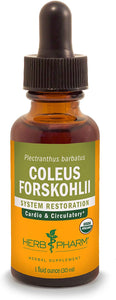 Coleus Forskohlii 1 oz by Herb Pharm