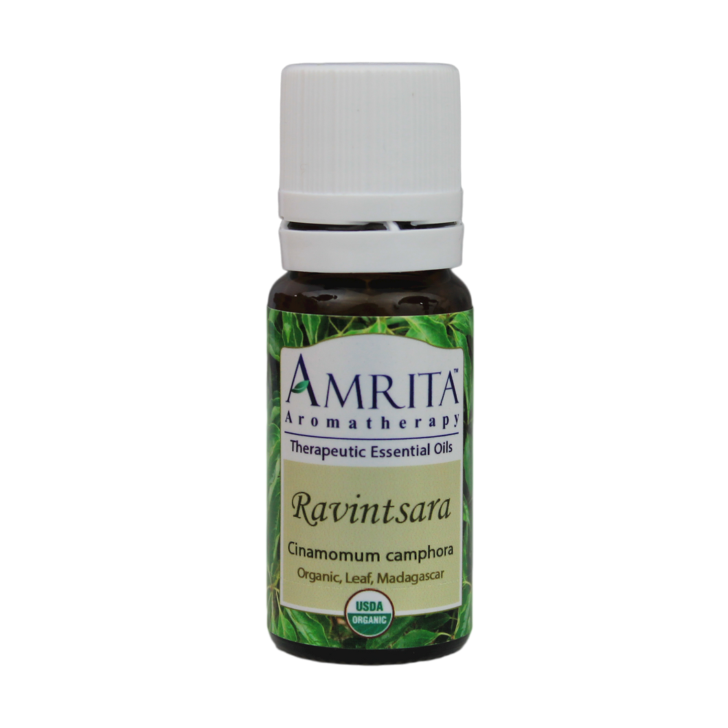 Ravintsara (Organic) 10 ml by Amrita Aromatherapy