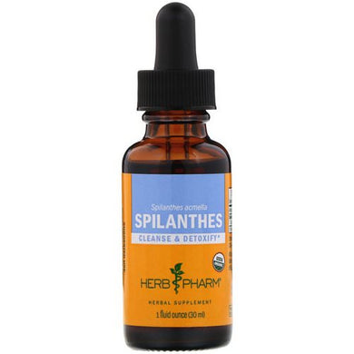 Spilanthes 1 oz by Herb Pharm