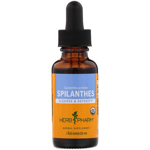 Spilanthes 1 oz by Herb Pharm