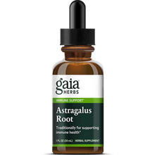 Astragalus Root 1 oz by Gaia Herbs