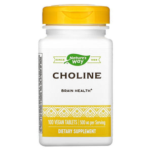 Choline 500 mg 100 tablets