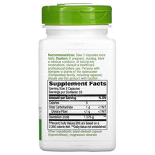 Dandelion Root 525 mg 100 capsules