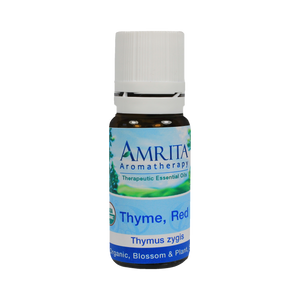Thyme (Red Thymol) 10 ml by Amrita Aromatherapy