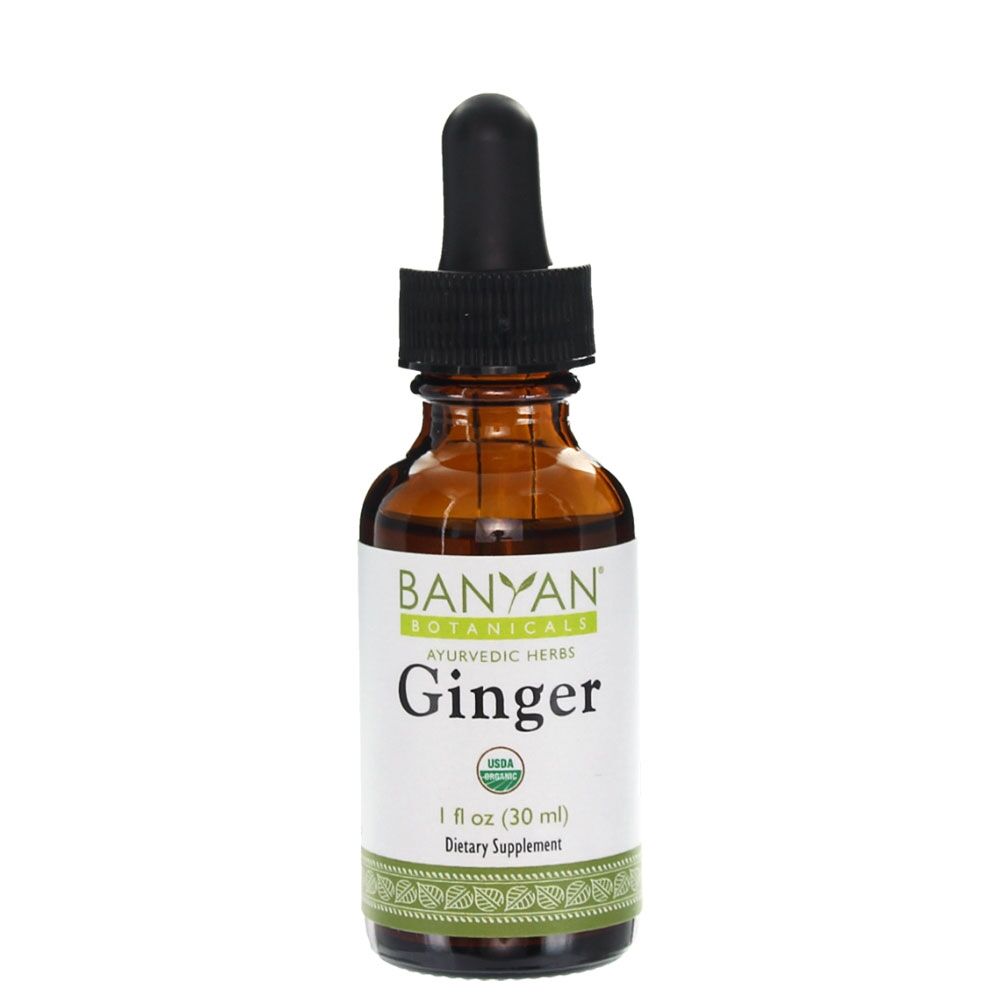 Ginger Liquid Extract 1 oz by Banyan Botanicals