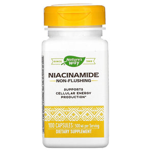Niacinamide 100 capsules by Nature's Way