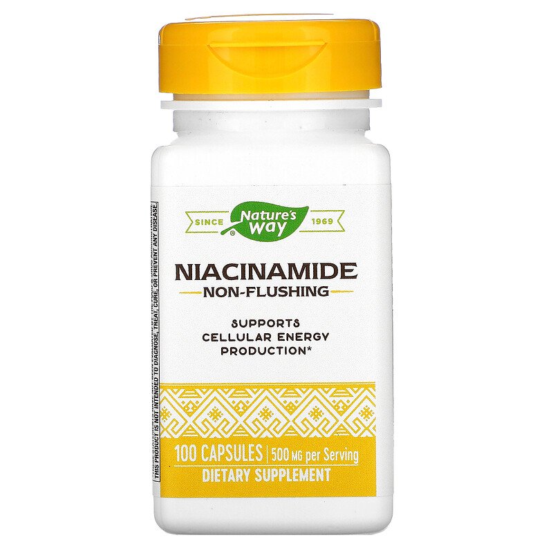 Niacinamide 100 capsules by Nature's Way